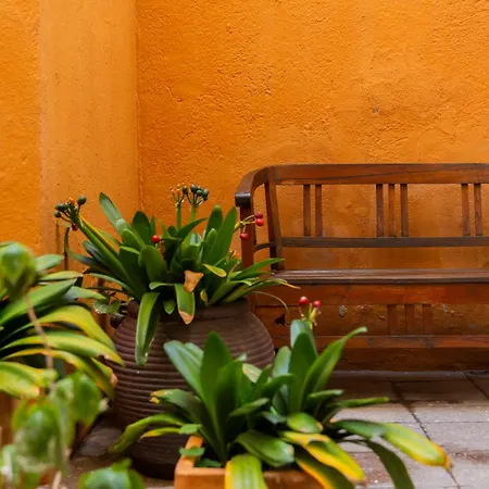 ホテル Tarongeta - Adults Only カダケス